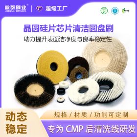 晶圆硅片芯片清洁圆盘刷 晶圆硅片芯片清洁圆盘刷